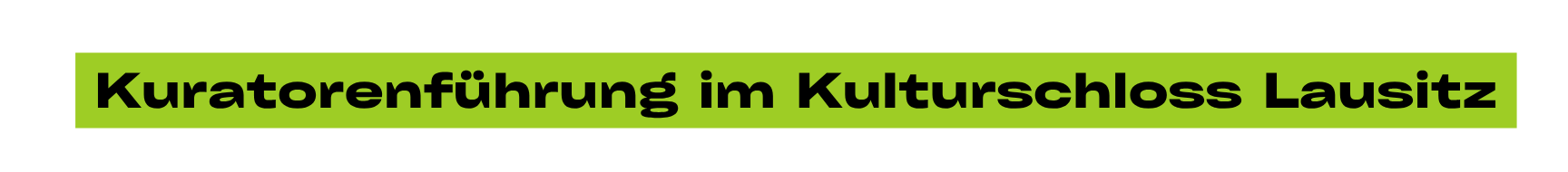 Monochromatisch Gitarre Foto Allgemein Soundcloud Banner (1728 x 190 px) (18)