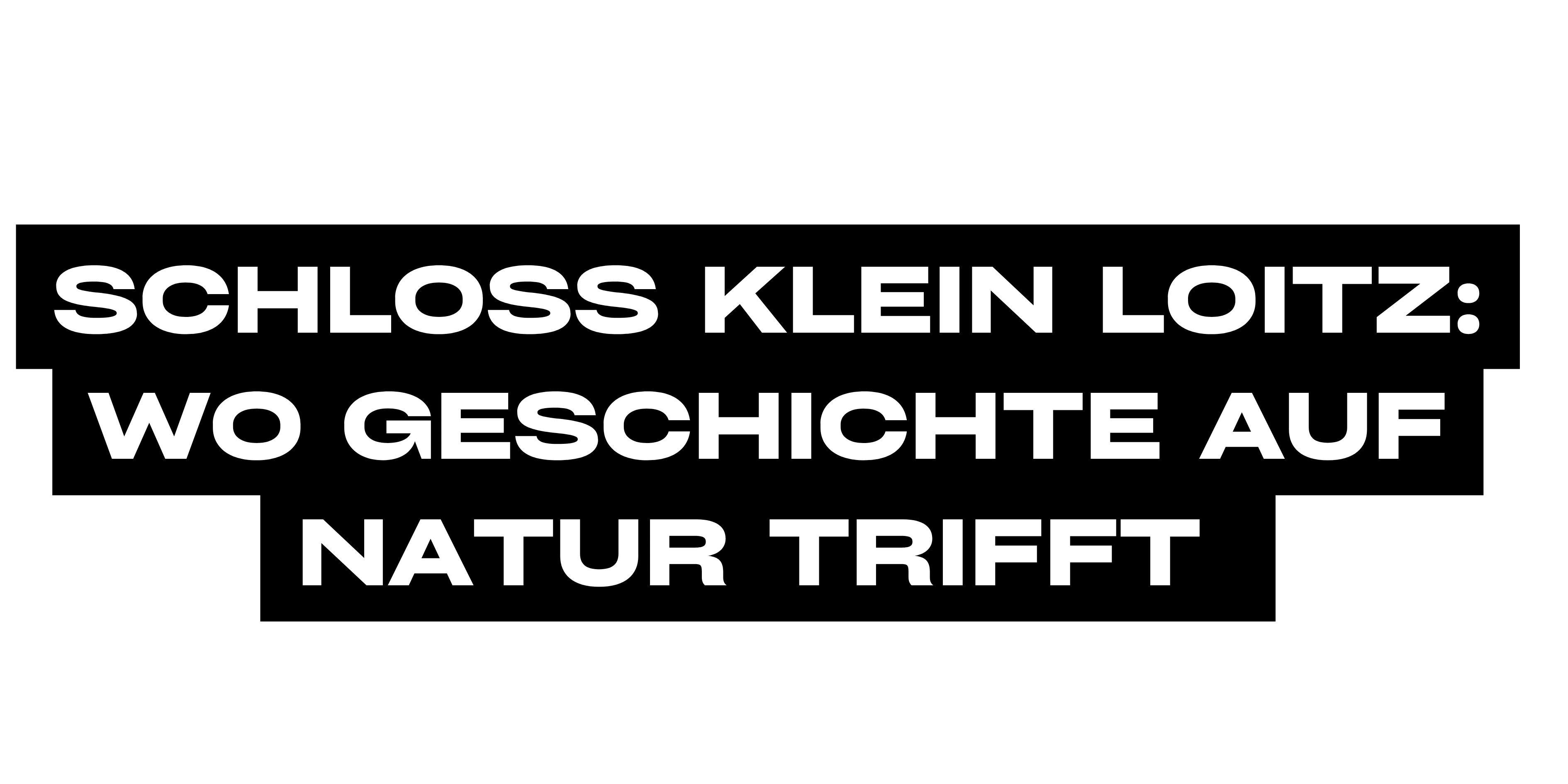 Plakat schloss No3(1000 x 1000 px) ) (100 x 100 cm) (100 x 50 cm) (20)